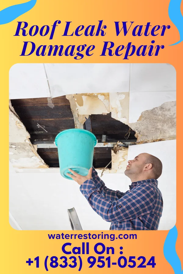 Roof Leak Water Damage Repair in Jewett, OH