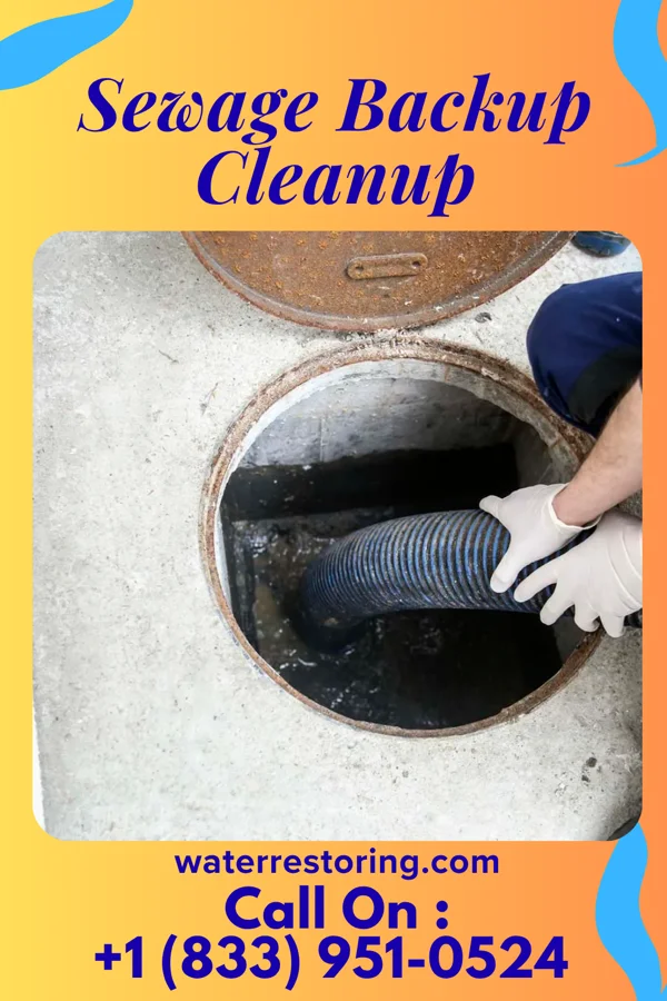 Sewage Backup Cleanup in Jewett, OH